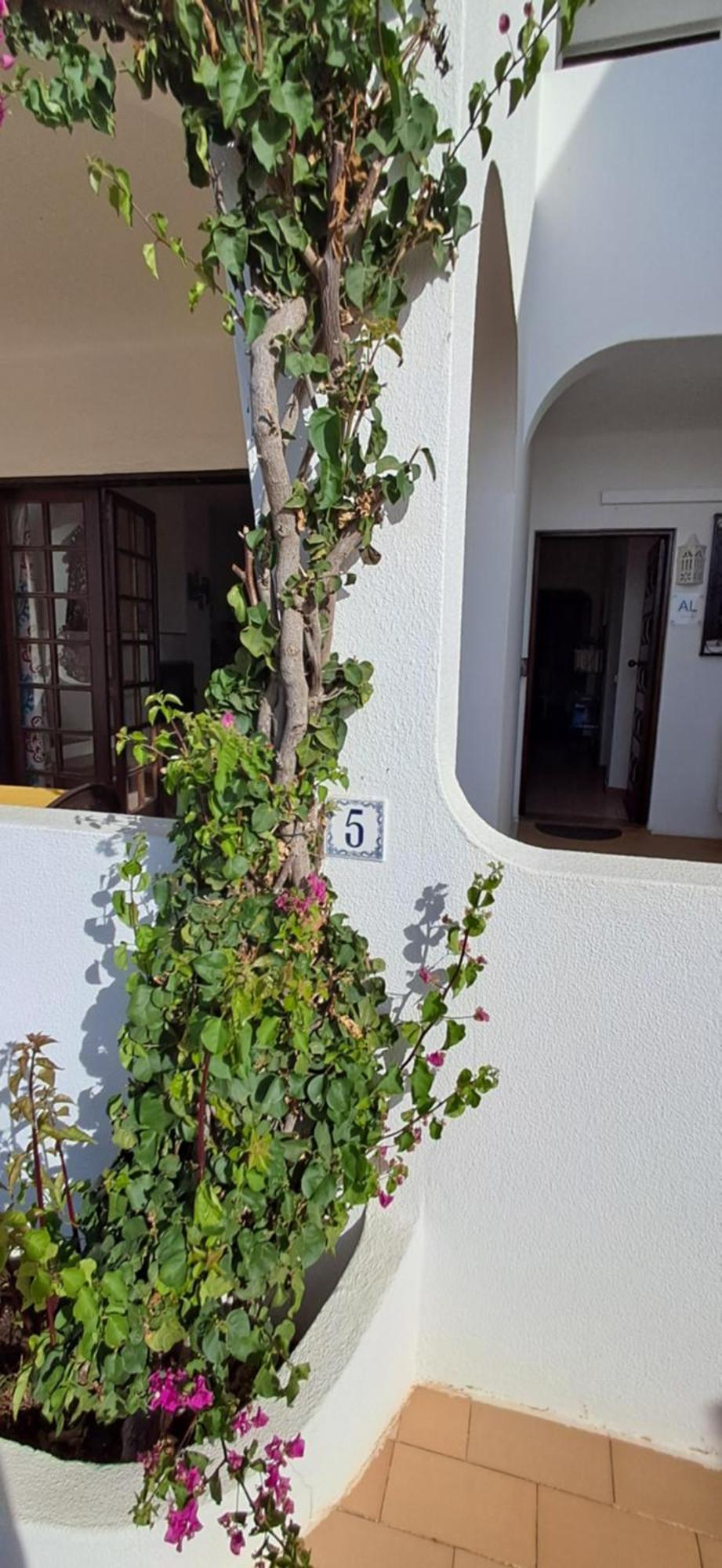 Apartamento Neptuno Benagil Esterno foto